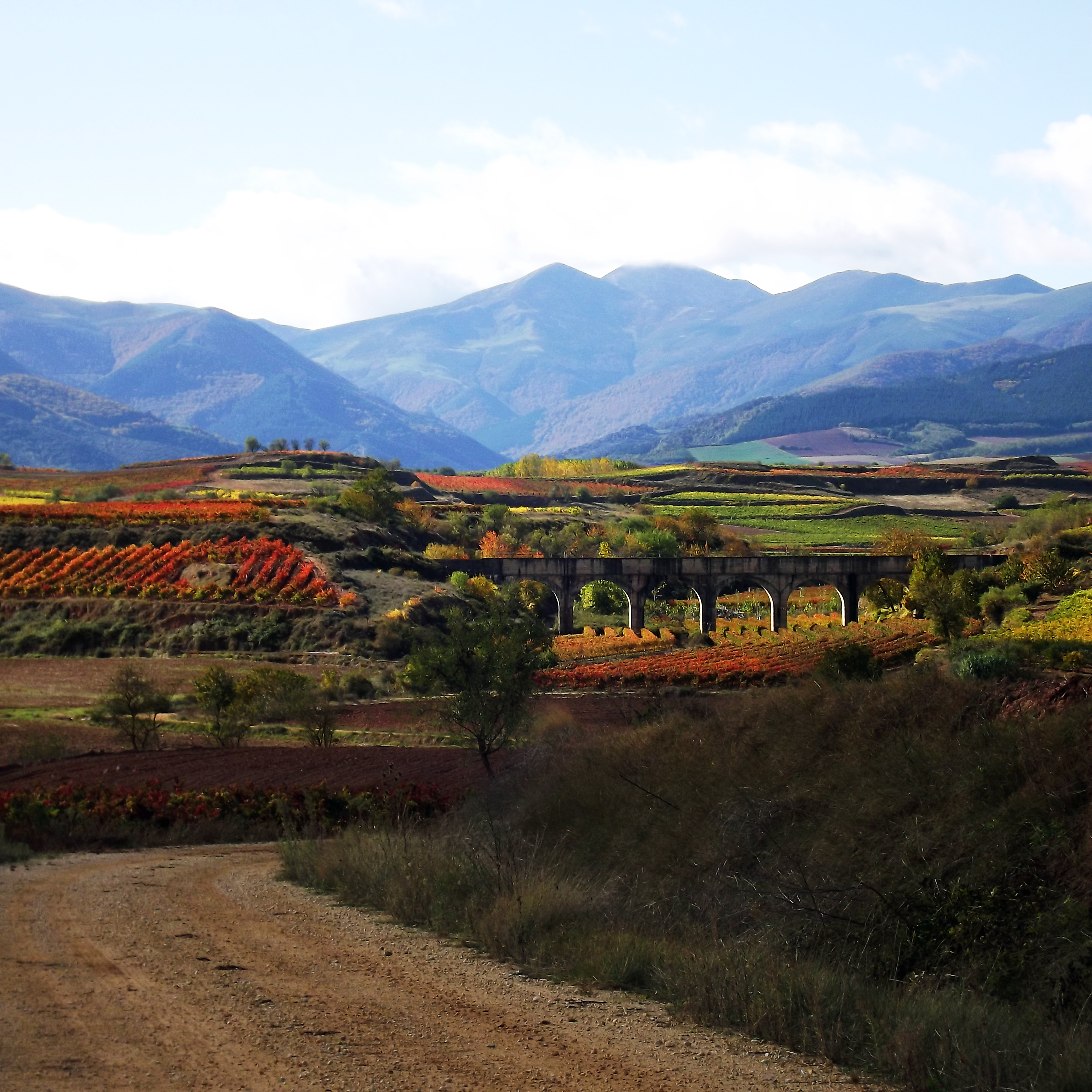 Cordovín